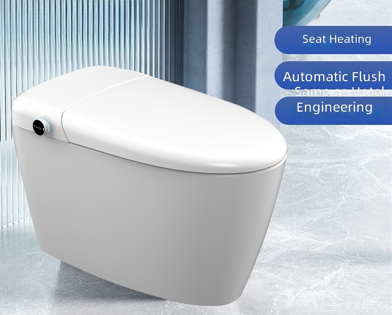 Heated Smart Toilet Seat, Auto - đánh giá và giá Home And Bathroom
