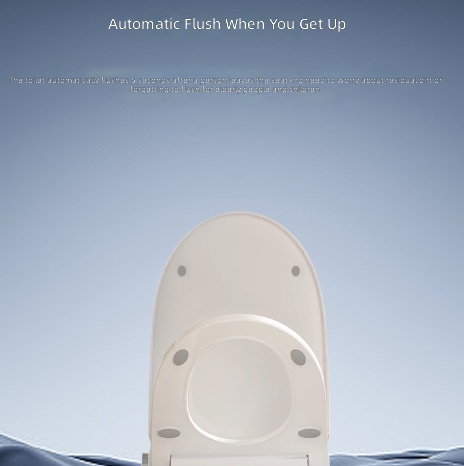 Heated Smart Toilet Seat, Auto - đánh giá và giá Home And Bathroom