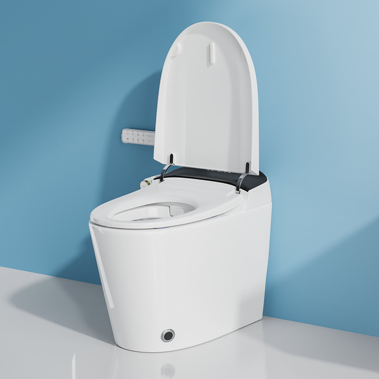 Home Decoration Bathroom Smart - đánh giá và giá Home And Bathroom