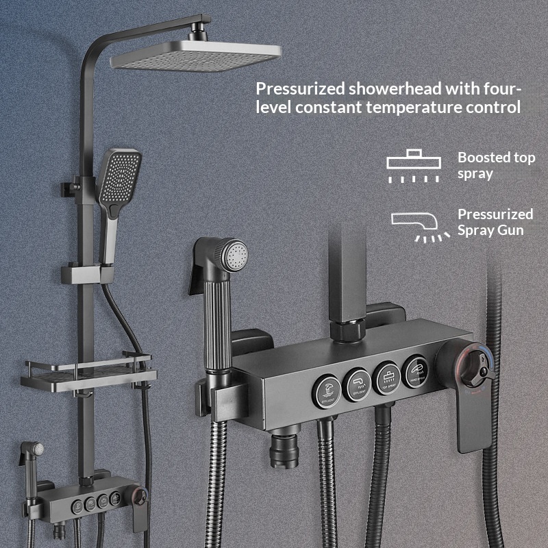 Stainless Steel Shower Set Ant - đánh giá và giá Home And Bathroom